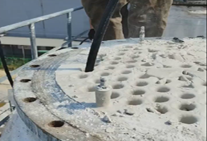 2024新澳门原料网点站